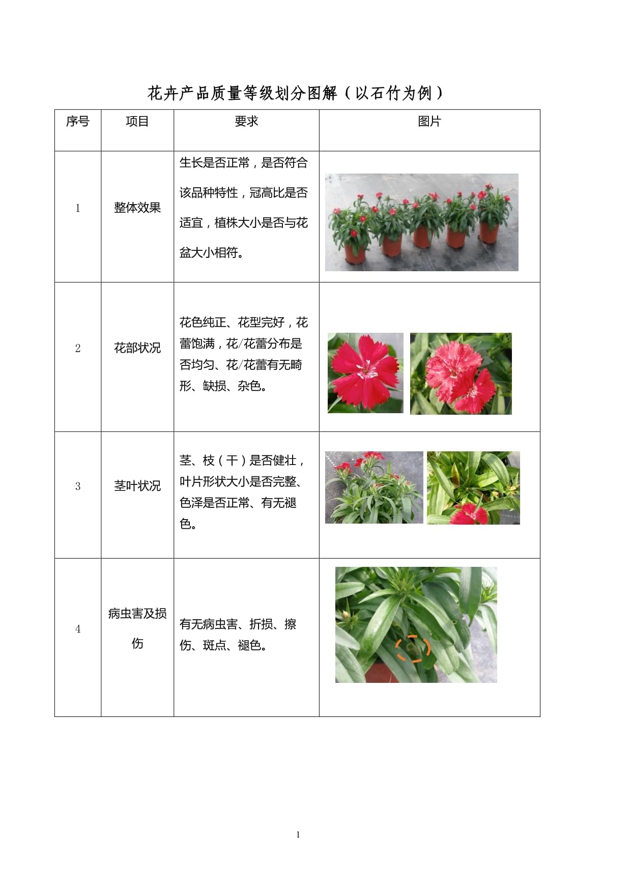 花卉產品質量等級劃分圖解 以石竹盆景為例